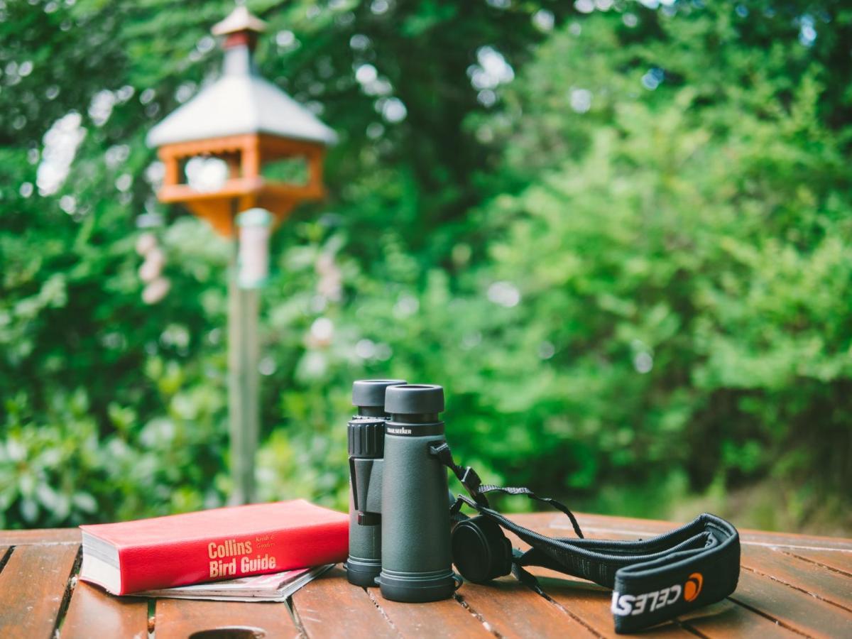 キングシー Tigh Na Bruaich Bed & Breakfast エクステリア 写真